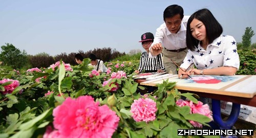 柏乡:加大投入力度 精心打造牡丹经济 - 今日